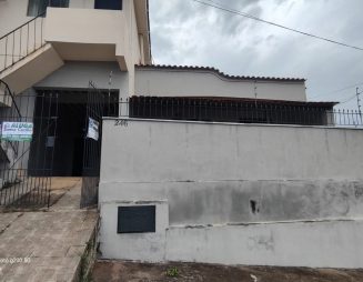 WhatsApp Image 2025-12-02 at 16.28.19 (3)