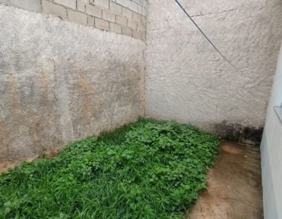 WhatsApp Image 2025-12-15 at 17.28.33