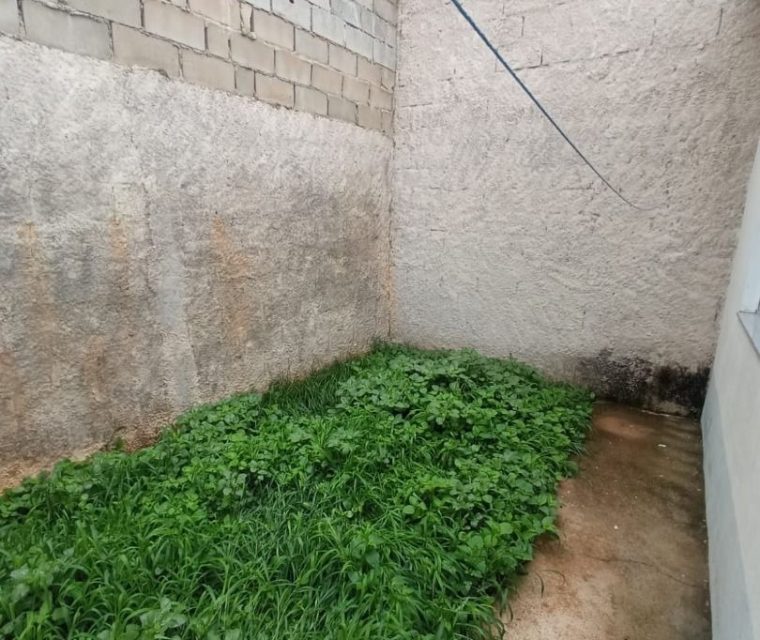 WhatsApp Image 2025-12-15 at 17.28.33