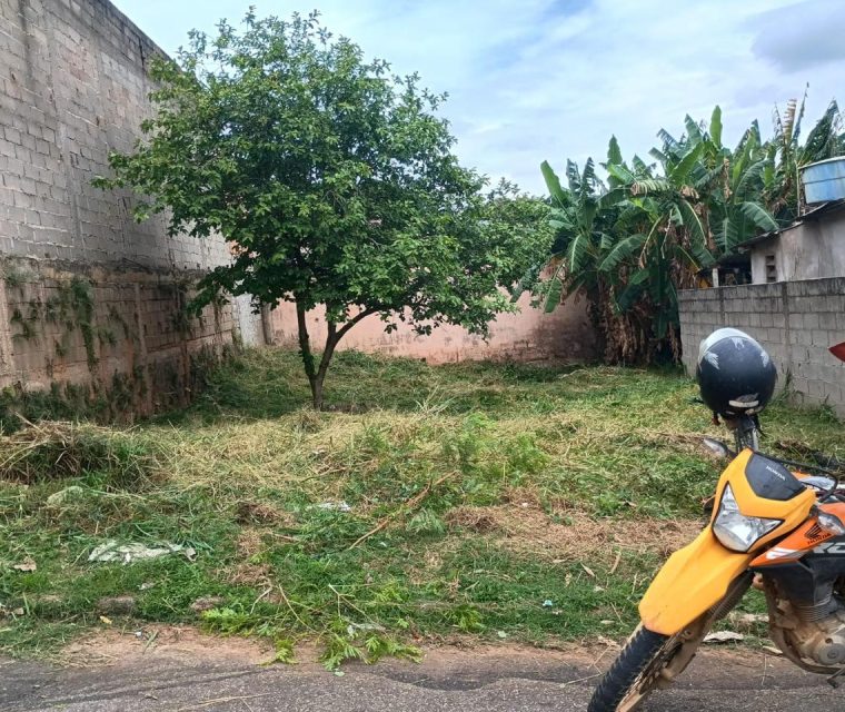 WhatsApp Image 2026-02-11 at 21.10.06