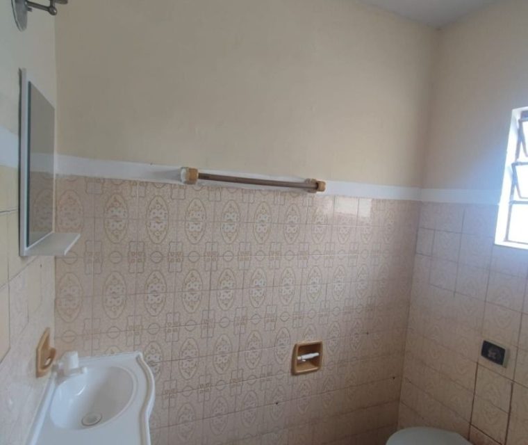 WhatsApp Image 2026-02-20 at 16.55.06