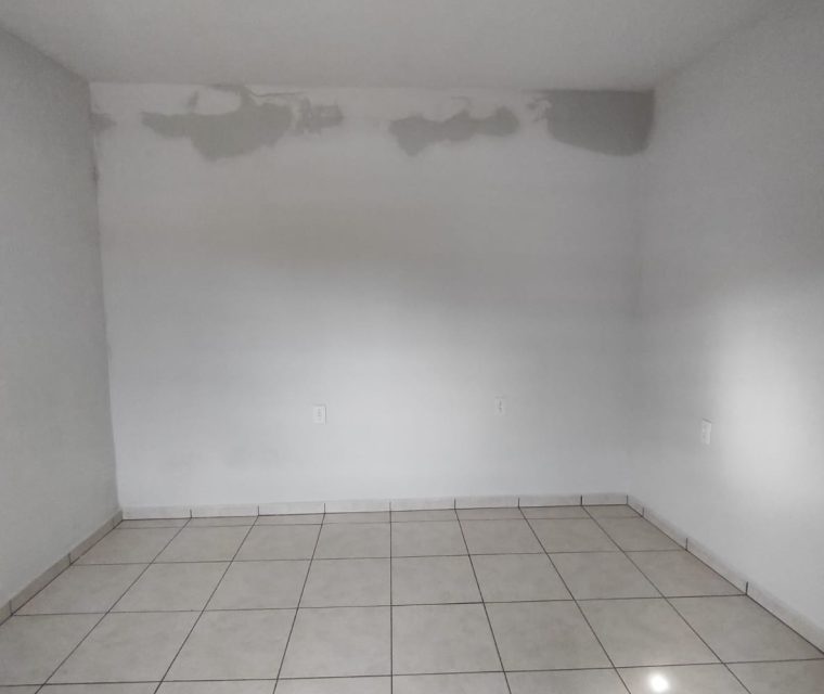 WhatsApp Image 2026-02-24 at 17.14.01