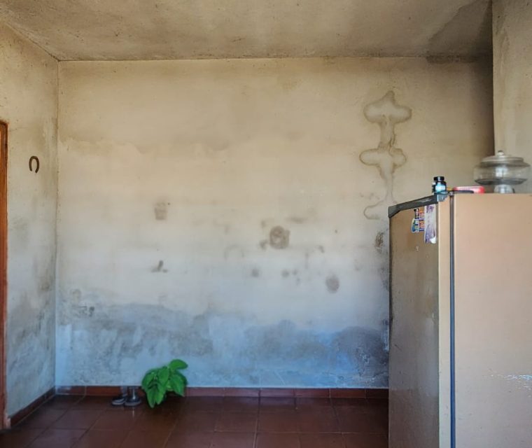 WhatsApp Image 2026-03-11 at 15.11.43