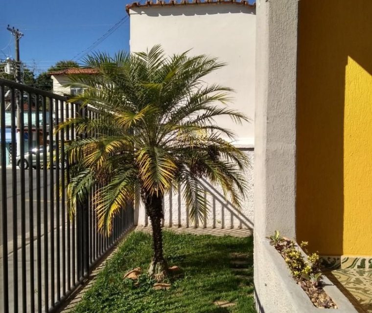 WhatsApp Image 2026-04-08 at 11.30.22 (6)