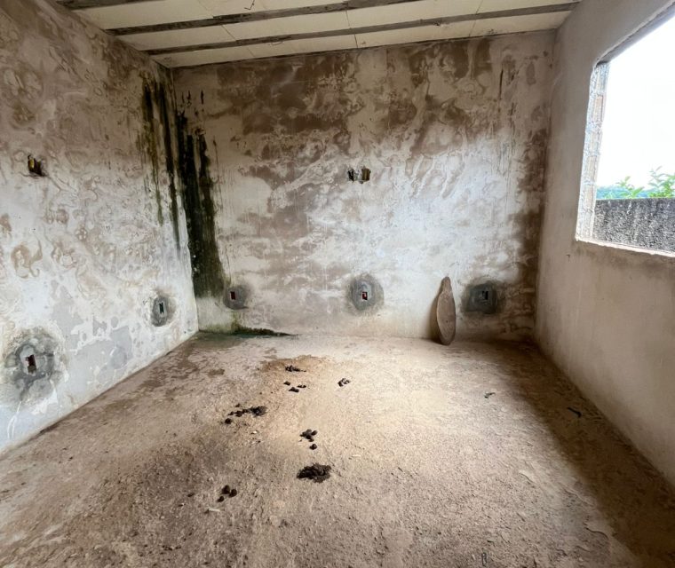 WhatsApp Image 2026-04-13 at 14.59.52 (2)