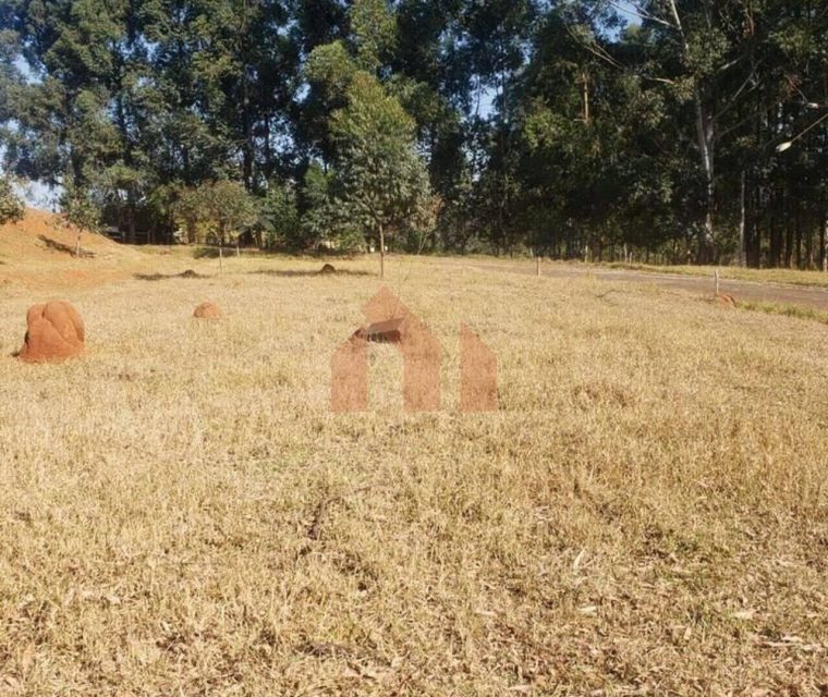 imgi_11_VWRCUkQ2Tnp3d1BJRDBJVe1szkhnWr9UfpZS9ftWwjXgr7v5Znen3XVcMHllDVRJJeIbi3YwVYEtu2RQ9M9ZwRRjoOUDZ+6jhzme6auazvnJvnux1pnvlJTs8dvjeMmG5q4Q3an6MFySooI6Z