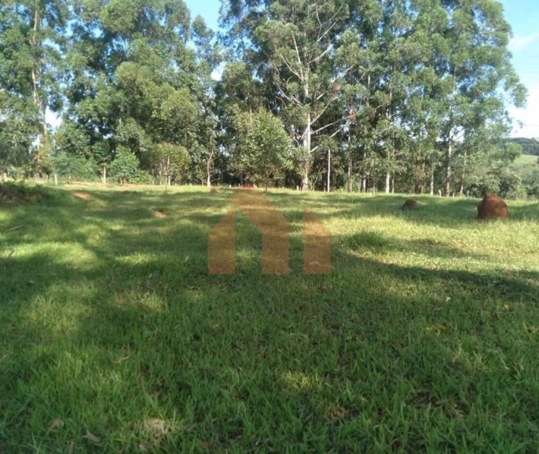 imgi_24_VWRCUkQ2Tnp3d1BJRDBJVe1szkhnWr9UfpZS9ftWwjXgr7v5Znen3XVcMHllDVRJJeIbi3YwVYEtu1Vs-9douAsEqf0zXaSynxeB8ty3weudlUidpoznu5zAhMnbWZ70+JEI3azSHFzpmvFbH