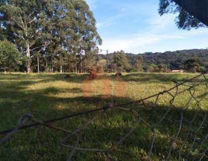 imgi_8_VWRCUkQ2Tnp3d1BJRDBJVe1szkhnWr9UfpZS9ftWwjXgr7v5Znen3XVcMHllDVRJJeIbi3YwVYEtu19f8tFU-QYklcsbZo+lkyO7xdW+wPq1p2m76aLsh5TUysryWMnXkYYP8aPvEXX3tKhuG9