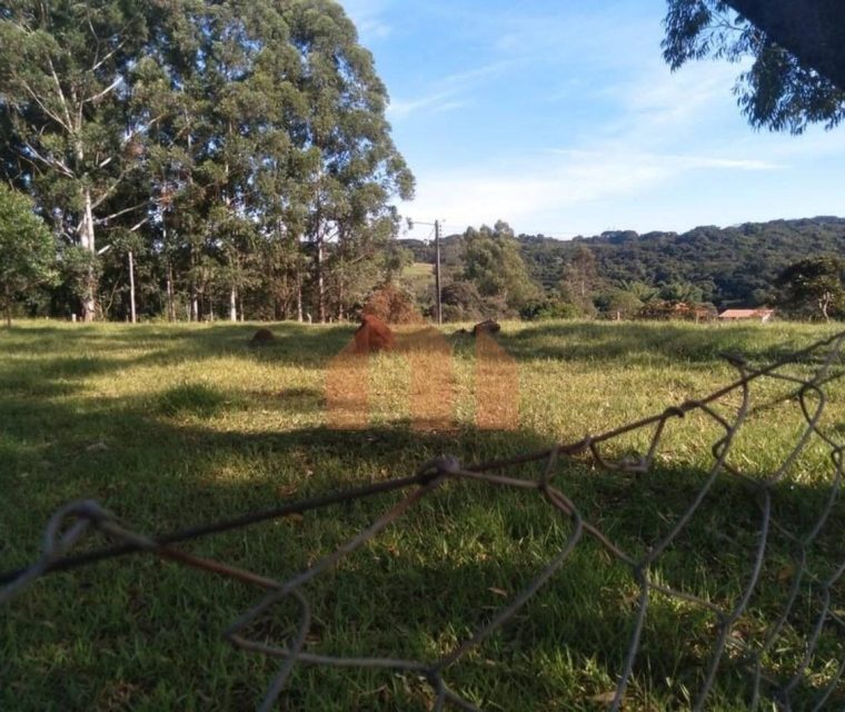 imgi_8_VWRCUkQ2Tnp3d1BJRDBJVe1szkhnWr9UfpZS9ftWwjXgr7v5Znen3XVcMHllDVRJJeIbi3YwVYEtu19f8tFU-QYklcsbZo+lkyO7xdW+wPq1p2m76aLsh5TUysryWMnXkYYP8aPvEXX3tKhuG9